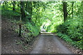 SO3507 : Private lane down to Mill Cottage by M J Roscoe