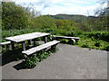 Picnic table in Poles Coppice