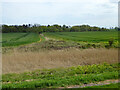 View towards Downhall Estate