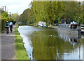 Narrowboats moored along the Worcester and Birmingham Canal