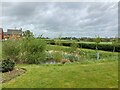 Community Pond in Stretton