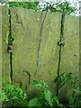 Close view of stone slab wall showing iron fixings, Northowram