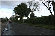 TL0218 : Common Road, Kensworth by David Howard
