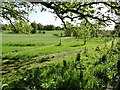 Across the Fynn valley