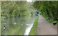 Towpath along the Worcester and Birmingham Canal