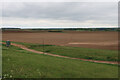 Fields near Lackford