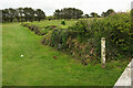SW9478 : Cornish hedge, Roserrow Golf Course by Derek Harper