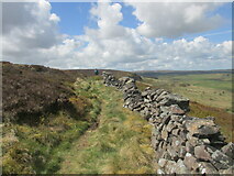 SK0476 : Old wall on Combs Edge by steven ruffles