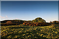 The highest part of the Fron-G?ch farmland