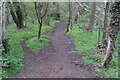 Path through Heath Spinney to the brook