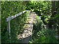 Footbridge south of Ashcott