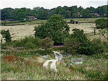 SJ9553 : Staffordshire farmland north of Hazelhurst Locks by Roger  D Kidd