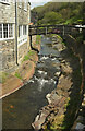 River Valency, Boscastle