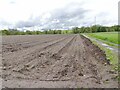 Ploughed Field