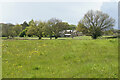 Fields below Ashover Hay