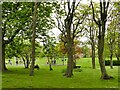 Woodland and play area, Glen Gardens, Filey