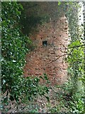 NT0783 : Eastern Interior Wall of Possible Old Summer House by Ian Dodds