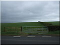 NS5223 : Field entrance off the A76 near Brackenhill by JThomas
