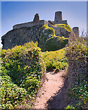 NU1835 : Bamburgh Castle by David Dixon