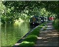 Narrowboats moored along the Shropshire Union Canal