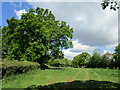 Grass field near Yew Tree Cottage