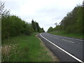 A76 beside Shankston Wood