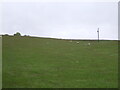 NS6015 : Sheep grazing, Lochhill by JThomas