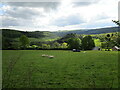 View from Hewelsfield Common