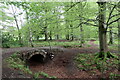 Arched bridge on path near The Burn