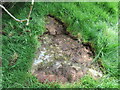 Stone trod near Hunter Sty Bridge