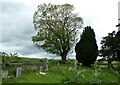 St John the Baptist, Eldersfield: churchyard (ii)