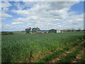 Wheat field and Doctor