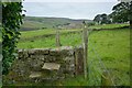 SE0037 : Stone stile at Wildfell House, Oldfield, Keighley, West Yorkshire by Michael Hitchin