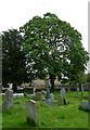 South Littleton Churchyard (b)