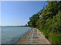 Foreshore looking towards Erwarton Bay