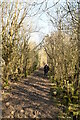 Muddy footpath