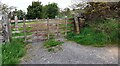 Field gateway on NW side of Brown Bank Lane east of Crag House Farm