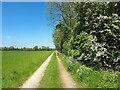 Track towards Standlake Road