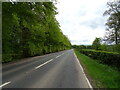 A76 beside woodland