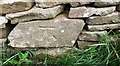 Benchmark on stone in wall on east side of Turner Lane at Nudge Hill Farm