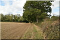 Footpath along field boundary