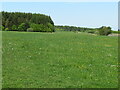 Pasture and woodland near Eastfield