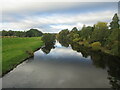 River Earn from Kinkell Bridge