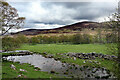 Wet farmland at West Migvie