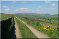 Farm track above Sparrowpit