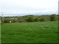 Grazing near Wardhead Park