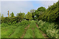 Overgrown Track heading North towards Sowerby