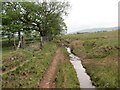 Hen heol i Lwyn-yr-hebog / Old road to Llwyn-yr-hebog