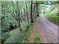 Llwybr ceffyl ger Neuadd Fach / Bridleway near Neuadd Fach