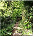 Brownsover Hall Hotel - Path into garden